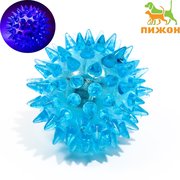  Мяч светящийся для животных малый, TPR, 4,5 см, голубой (6255214) 