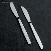  Нож детский столовый «Непоседа», h=17,5 см, толщина 2 мм, цвет серебряный (1297444) 