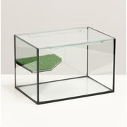  Террариум с покровным стеклом и мостиком 12 литров, 30х20х20 см (9177564) 