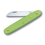  Нож перочинный Victorinox EcoLine Floral (3.9050.47B1) 100мм 1функций салатовый блистер 