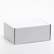  Коробка самосборная, белая, 23 х 17 х 10 см (7620642) 