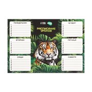  Расписание уроков «Величественный тигр» А4 (9084449) 