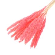  Сухоцвет «Камыш» набор 15 шт, цвет нежно розовый (4797385) 