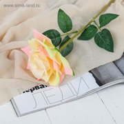  Цветы искусственные "Роза Гран При" 7*46 см, кремовый (3794243) 