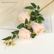  Цветы искусственные "Роза" три бутона, 8х80 см, светло-розовый (1659314) 
