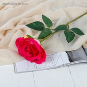  Цветы искусственные "Роза Гран При" 7*46 см, малиновый (3794240) 