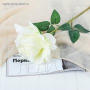  Цветы искусственные "Роза Мондиаль" 9х46 см, белый (3794244) 