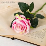  Цветы искусственные "Роза венесуэльская"  8х23 см, розовый (3933376) 