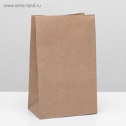  Пакет крафт бумажный фасовочный, прямоугольное дно 18 х 12 х 29 см (1307014) 