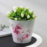 Кашпо для орхидей «Фиджи», 1,6 л, дизайн МИКС (3520163) 