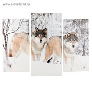  Модульная картина "Волки в снегу" (2-25х50, 30х60 см) 60х80 см (4675818) 