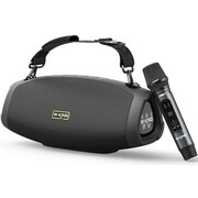  Портативная колонка W-King D10 Plus black 