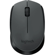  Мышь Logitech M170 (910-004658) оптическая беспроводная USB черный/темно-серый 