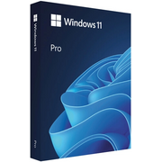  Операционная система Microsoft Windows 11 Professional (HAV-00164) P2 32-bit/64-bit Eng Intl non-EU/EFTA USB/FPP 