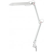  Настольная лампа Эра C0041457 NL-201-G23-11W-W белый 