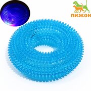  Игрушка светящаяся для собак "Жевательное кольцо", TPR,  12 см, голубая (7442155) 