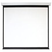  Экран 209x206см Digis Electra-F DSEF-1106 1:1 настенно-потолочный рулонный (моторизованный привод) 