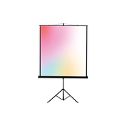  Экран Lumien Eco View (LEV-100112) White 