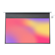  Экран Lumien Master Control (LMC-100133) White 