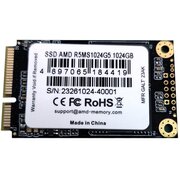  SSD AMD Radeon R5MS1024G5 1024GB mSATA 3D Nand Retail 