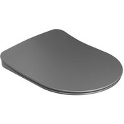  Крышка-сиденье Ravak Uni Chrome Flat X01795 черное 