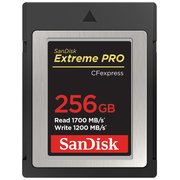 Карта памяти SanDisk Extreme Pro 256GB SDCFE-256G-GN4NN 