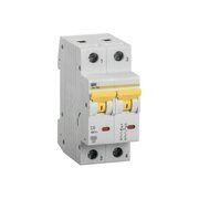  Выключатель автоматический IEK ВА47-60M (MVA31-2-006-C) 2Р 6А 6кА С 