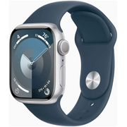  Смарт-часы Apple Watch A2980 Series 9 (MR9E3ZP/A) 160-210 мм серебристый 