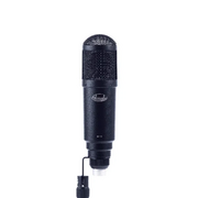  Микрофон конденсаторный ОКТАВА МК-119 черный 