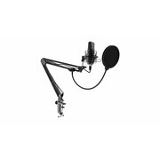  Микрофон RITMIX RDM-169 Black 