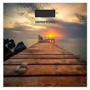  Весы REDMOND RS-752 Причал 