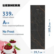  Холодильник Liebherr CBNbbd 5223-20 001 черный 