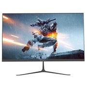  Монитор Raskat I24F10DA Black 