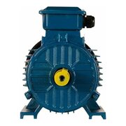 Электродвигатель 5АИ 100 L2 5.5/3000 IM 1081 (01.01.213567) 