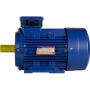  Электродвигатель 5АИ 100 S2 4/3000 IM 1081 (01.01.213555) 