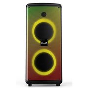  Портативная акустика ELTRONIC 20-23 