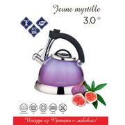  Чайник VENSAL Jeune Myrtille 3004VS 
