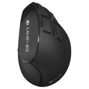  Мышь Oklick 990MW черный (1533172) 