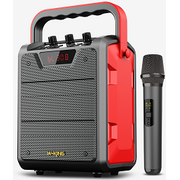  Портативная колонка W-King T2 (красный) 