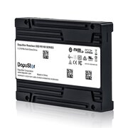  SSD DapuStor NVMe R5101, Gen4, U.2, 3.84T 