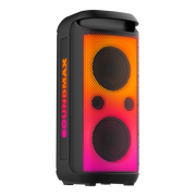  Портативная колонка SOUNDMAX SM-MS4210 черный 