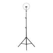  Светильник кольцевой Camelion KD-810F C02 (13010) 