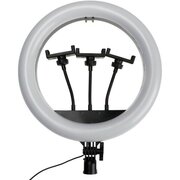  Кольцевой осветитель Ritmix Rrl-360, 192 