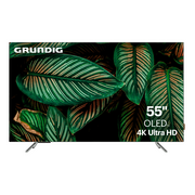  Телевизор Grundig 55GH9500 