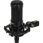  Микрофон Audio-Technica AT2050 черный 
