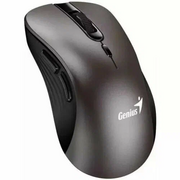  Мышь Genius Mice Ergo 8100S, Champagne titanium 