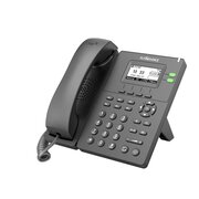  IP телефон FLYINGVOICE P20G 