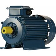  Электродвигатель 5АИ 90 L2 3/3000 IM 1081 (01.01.213461) 
