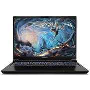  Ноутбук Colorful Evol X16 PRO 23-HG76B16512H-G-RUA-KA (A10205400059) Intel Core i7-13700H/16Gb/SSD512Gb/RTX4060 8Gb/16"/IPS/WQXGA/240Hz/NoOS/Black 