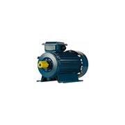  Электродвигатель 5АИ 90 L4 2.2/1500 IM 1081 (01.01.213462) 